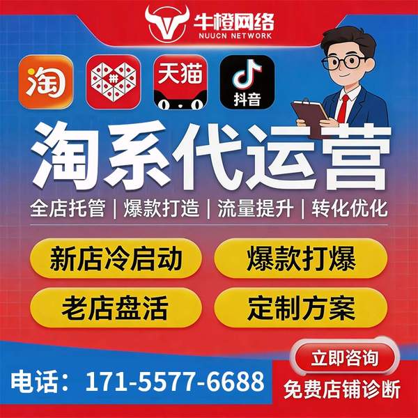 池州电商代运营