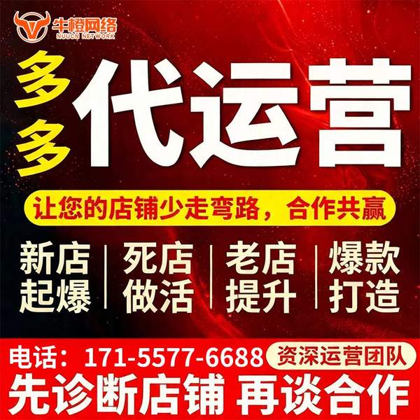 池州电商代运营