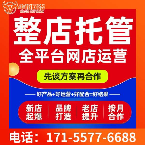 池州电商代运营