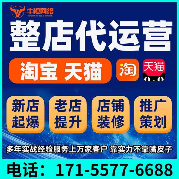 池州电商代运营