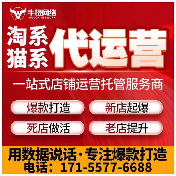 池州电商代运营